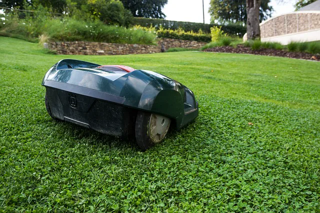 Een robotmaaier op een gazon, klaar om zelfstandig te gaan maaien